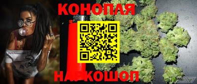 каннабис Новодвинск