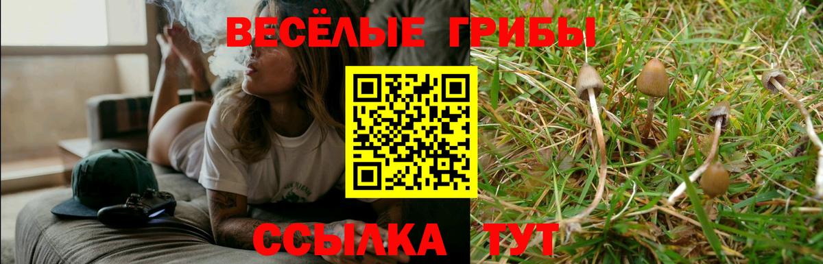 Галлюциногенные грибы Magic Shrooms Сокол